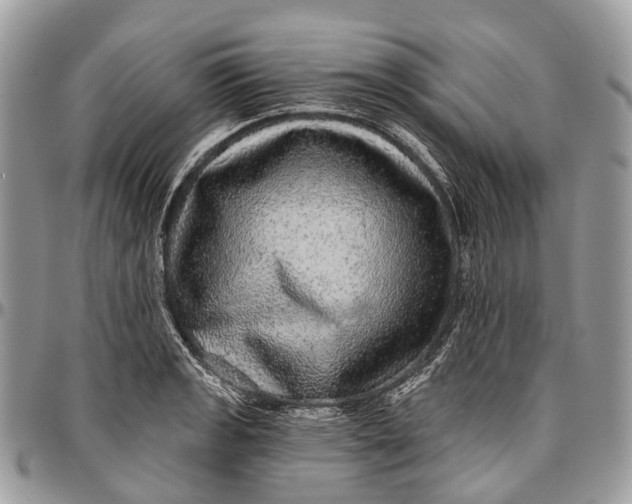 X0000096471133200802141652