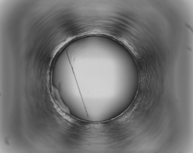 X0000096471134200802141652