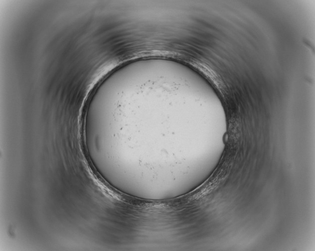 X0000096471135200802141652