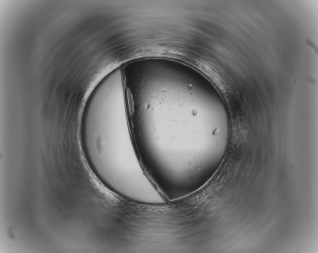 X0000096471136200802141652