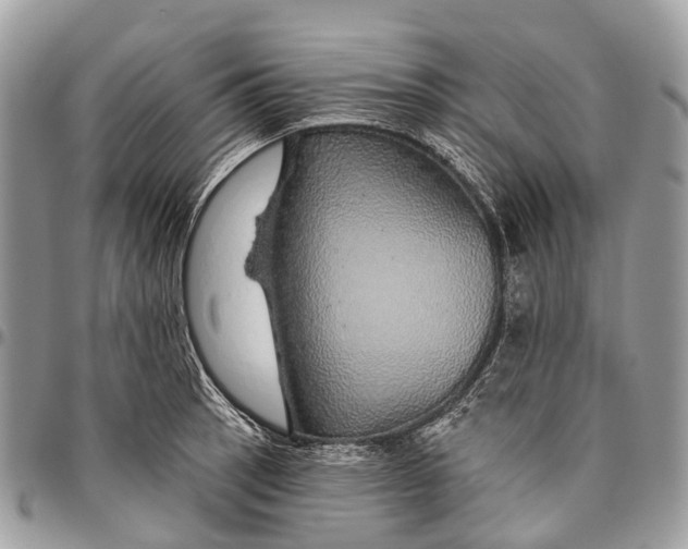 X0000096471137200802141652