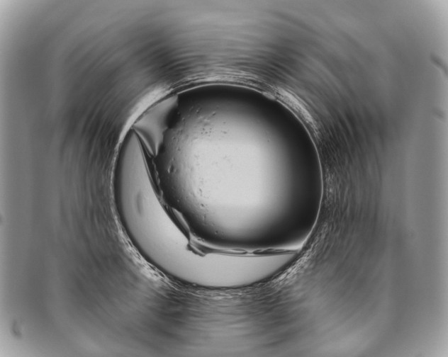 X0000096471138200802141652