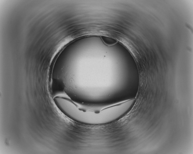 X0000096471139200802141652