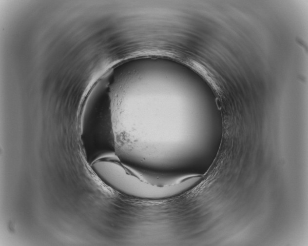 X0000096471140200802141652