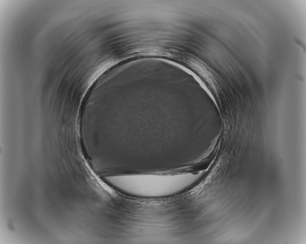 X0000096471141200802141652