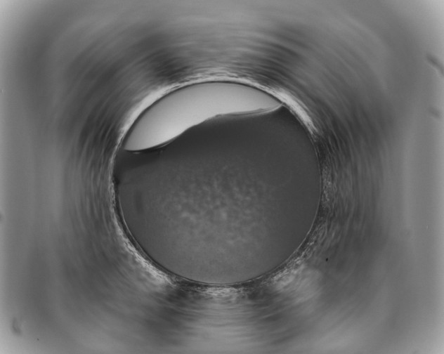 X0000096471142200802141652