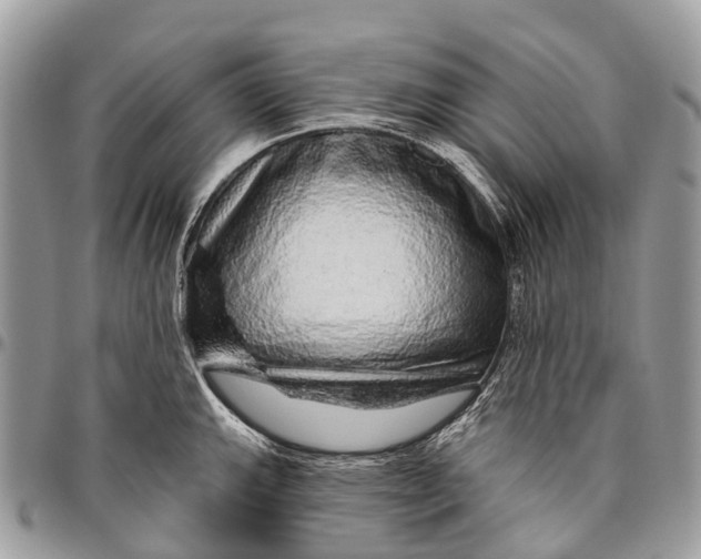 X0000096471143200802141652