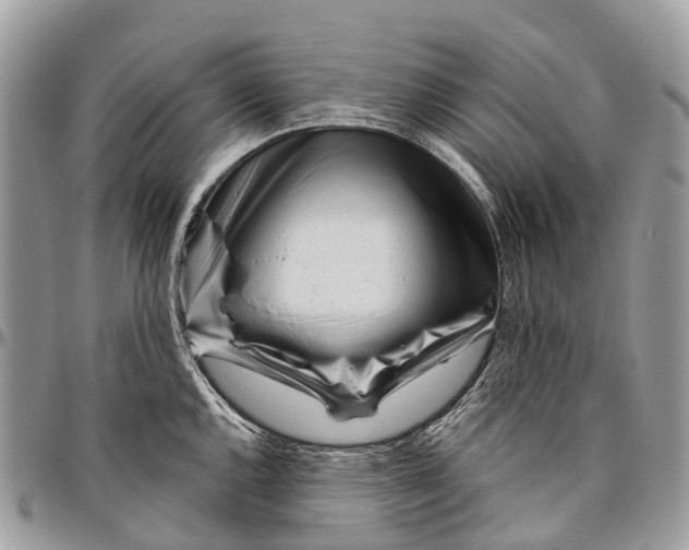 X0000096471144200802141652