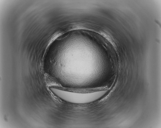 X0000096471145200802141652