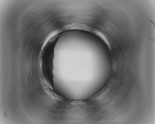 X0000096471146200802141652