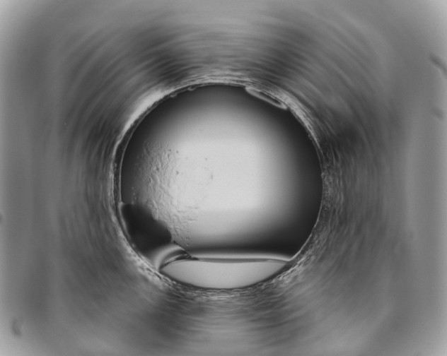 X0000096471147200802141652