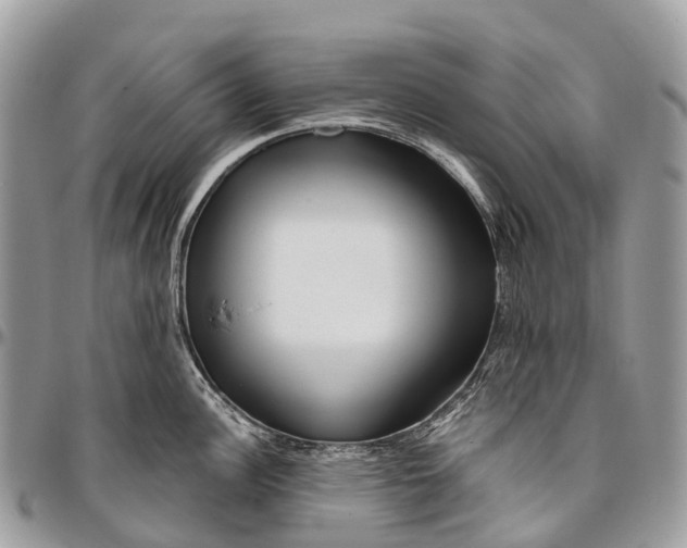 X0000096471148200802141652