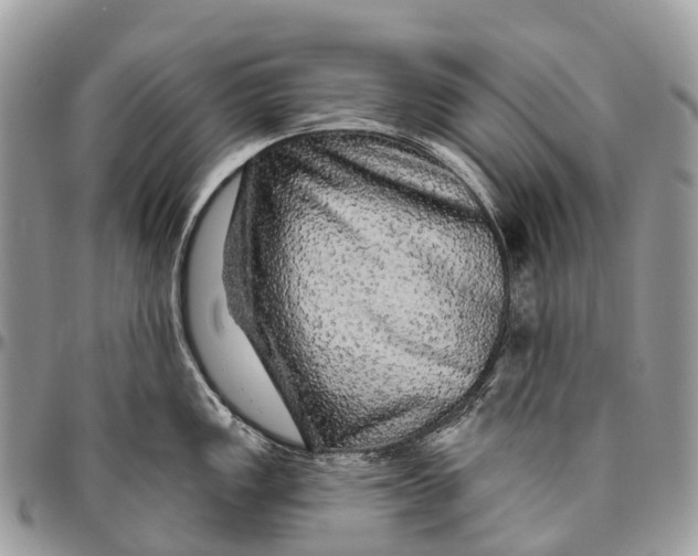 X0000096471149200802141652