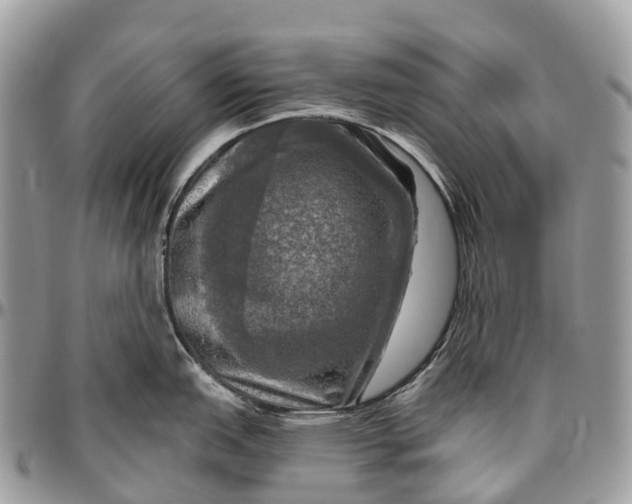 X0000096471151200802141652