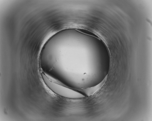 X0000096471152200802141652