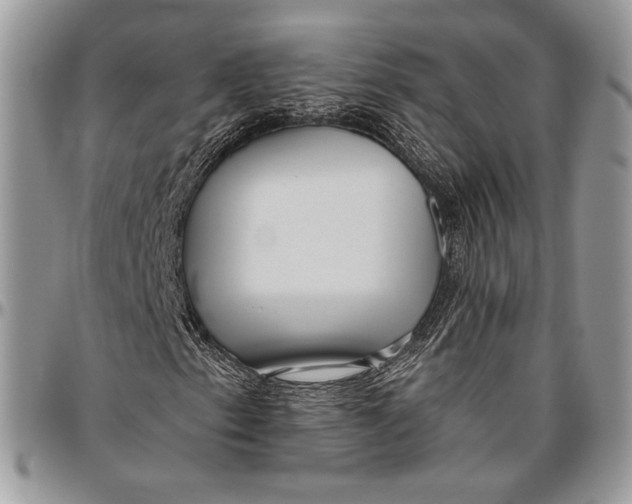 X0000096471153200802141651