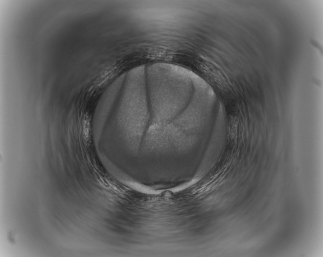 X0000096471154200802141651