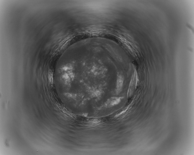 X0000096471155200802141651