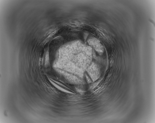 X0000096471156200802141651