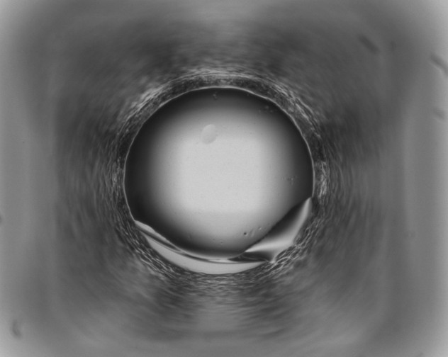 X0000096471157200802141651