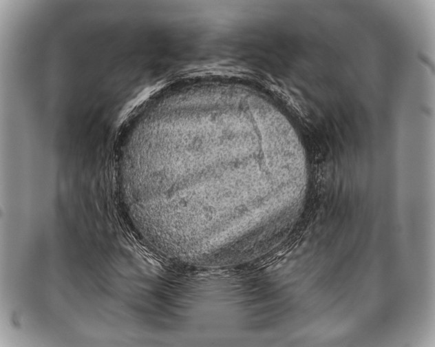 X0000096471159200802141651