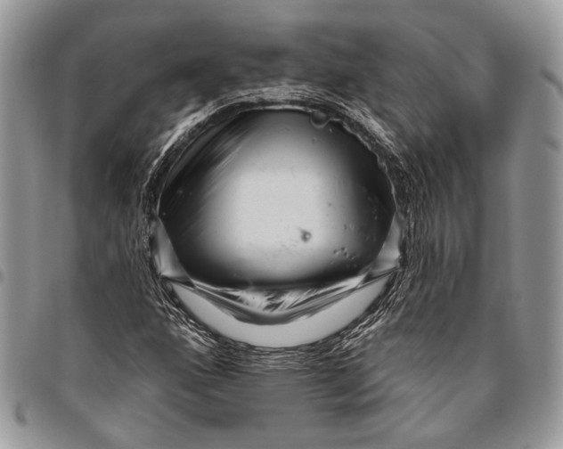 X0000096471160200802141651