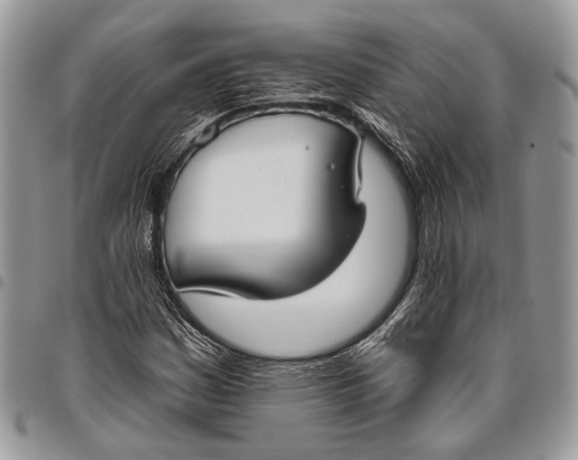 X0000096471161200802141651