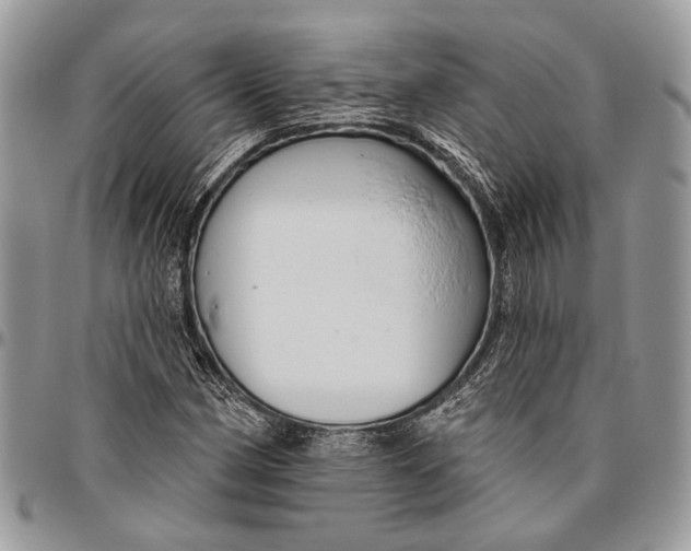 X0000096471162200802141651