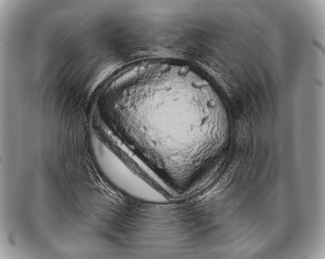 X0000096471163200802141651