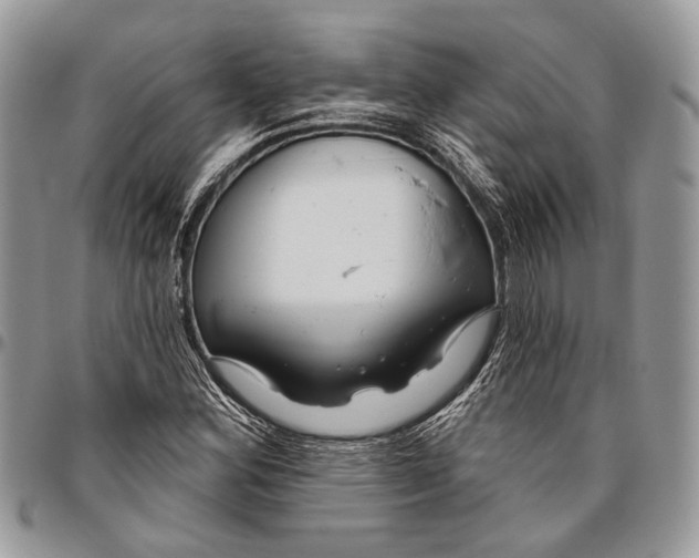 X0000096471164200802141651