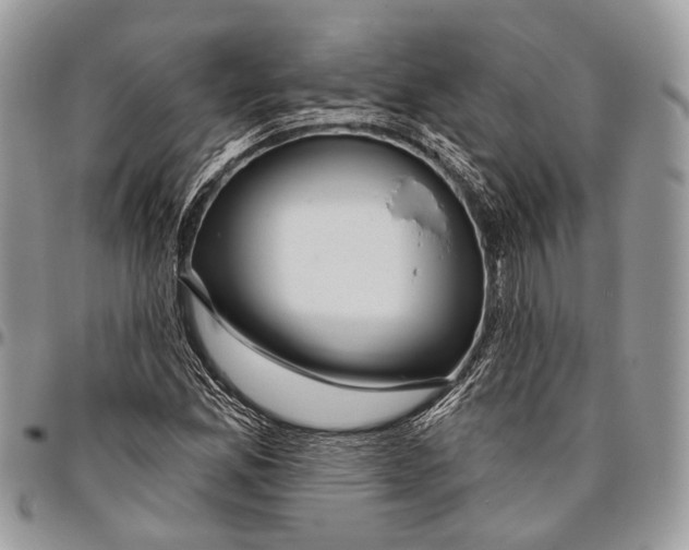 X0000096471165200802141651