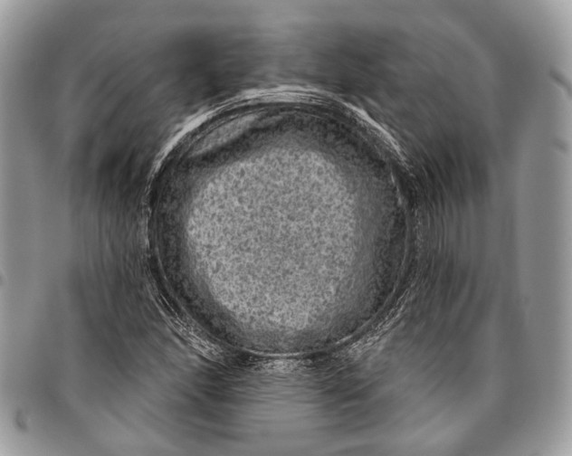 X0000096471166200802141651