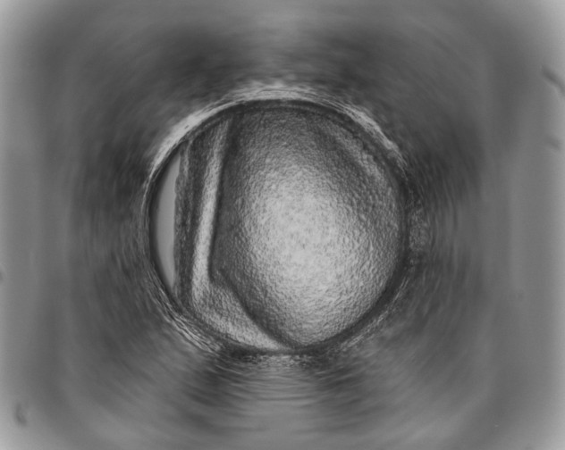 X0000096471167200802141651