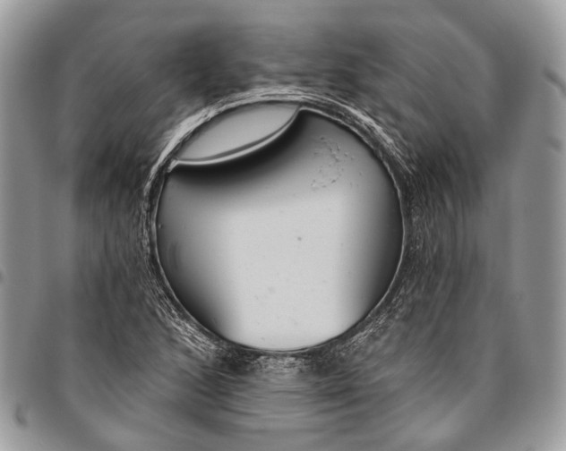 X0000096471168200802141651