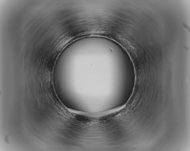 X0000096471169200802141651