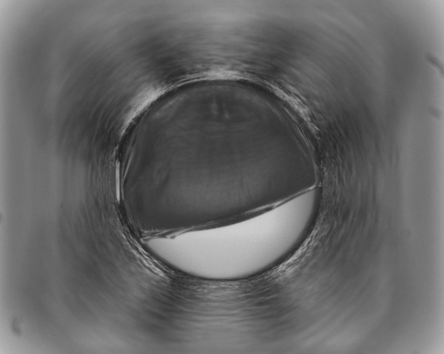 X0000096471171200802141651