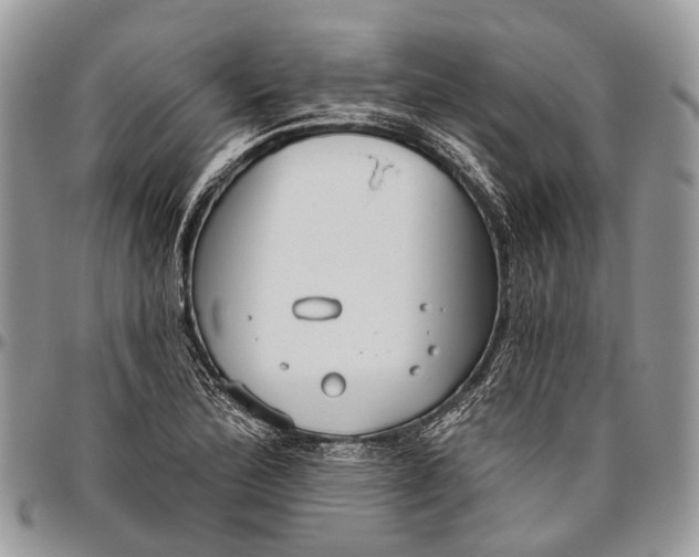 X0000096471172200802141651