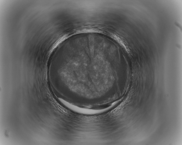 X0000096471173200802141651