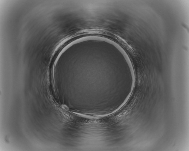 X0000096471174200802141651