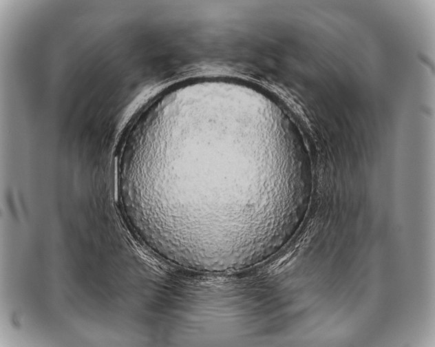 X0000096471175200802141651