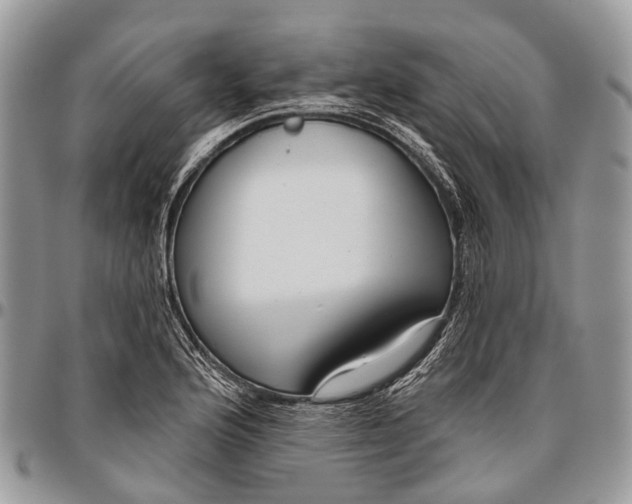 X0000096471176200802141651