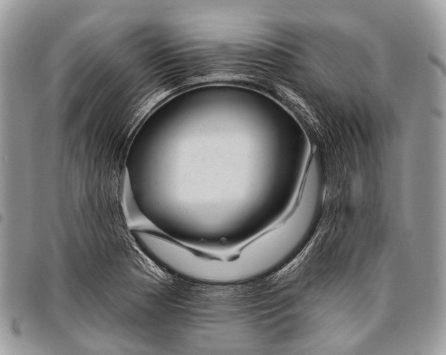 X0000096471177200802141651