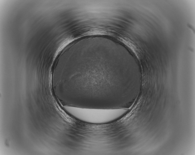 X0000096471179200802141651