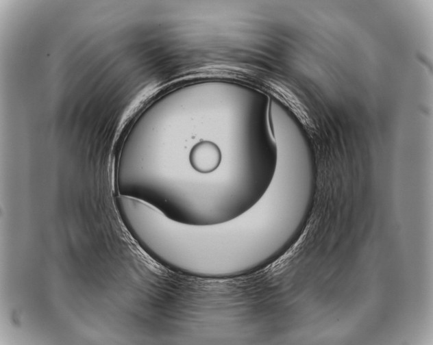 X0000096471180200802141651