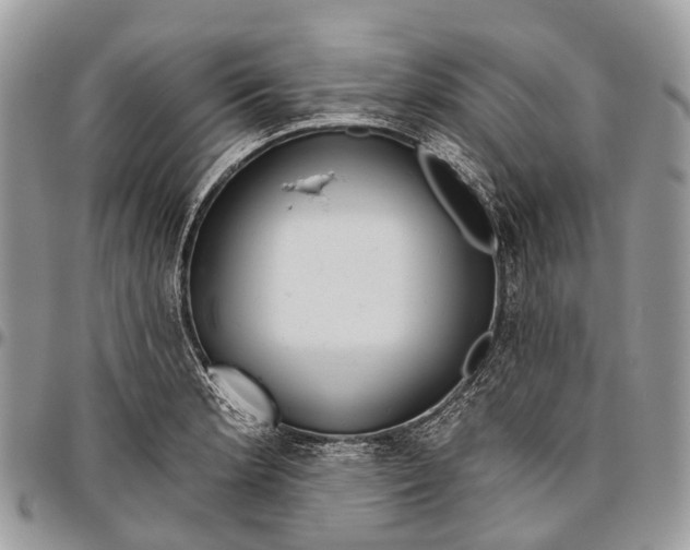 X0000096471181200802141651