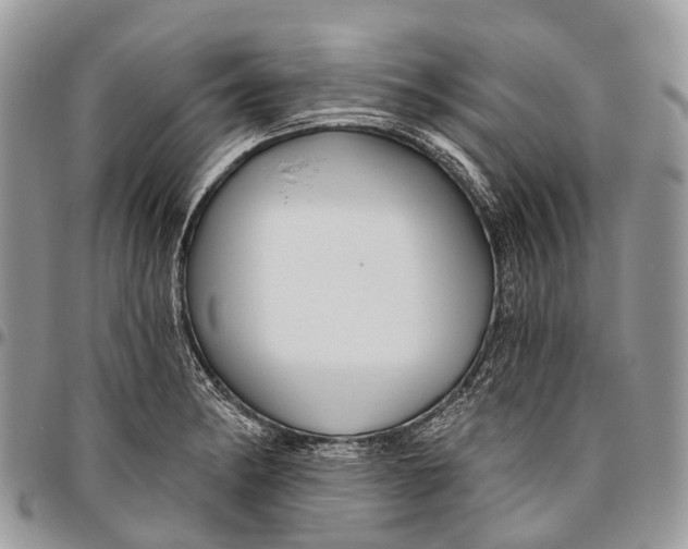 X0000096471182200802141651