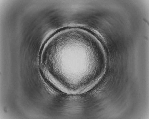 X0000096471183200802141651