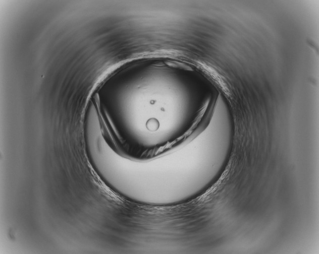 X0000096471184200802141651