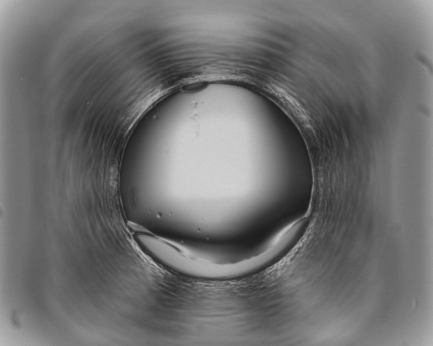 X0000096471185200802141651