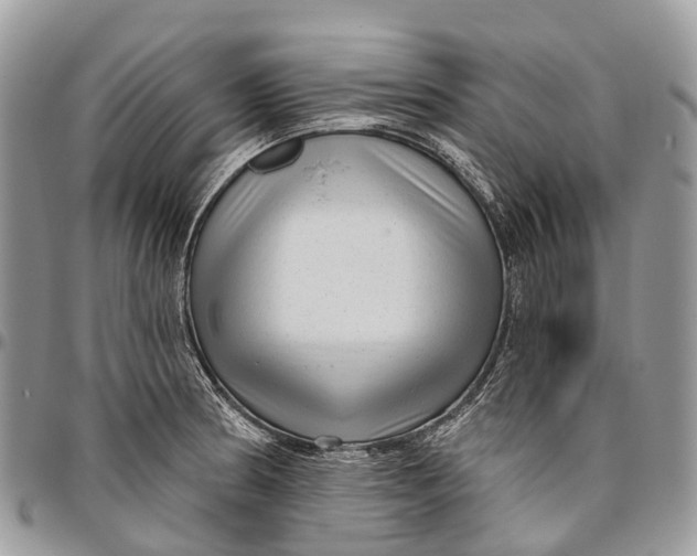 X0000096471186200802141651